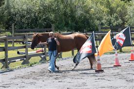 LR-WRF 08022025-Retreat-3309